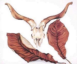 Oil o'keefe Painting - Ram's Skull with Brown Leaves by O'Keefe