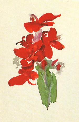 Oil red Painting - Red Canna 1920 by O'Keefe