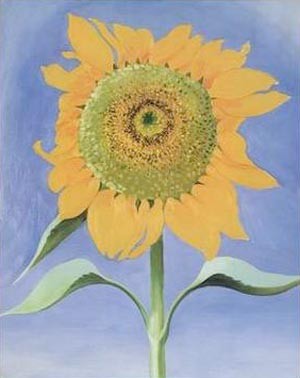 Oil sunflower Painting - Sunflower, New Mexico by O'Keefe