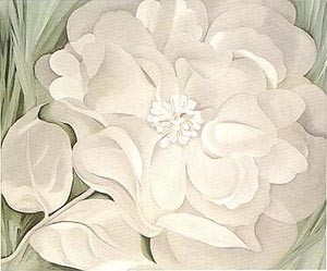 Oil flower Painting - White Calico Flower 1931 by O'Keefe