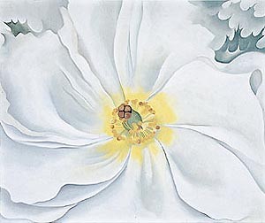 Oil flower Painting - White Flower by O'Keefe