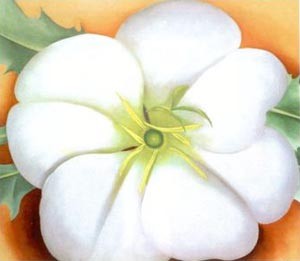 Oil red Painting - White Flower with Red Earth by O'Keefe