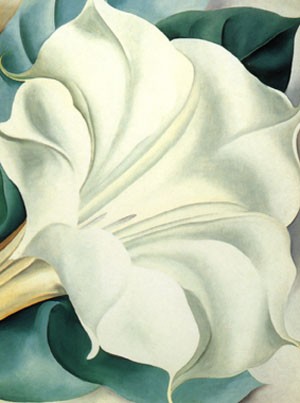 Oil flower Painting - White Trumpet Flower 1932 by O'Keefe