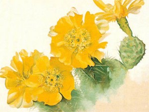 Oil o'keefe Painting - Yellow Cactus 1940 by O'Keefe