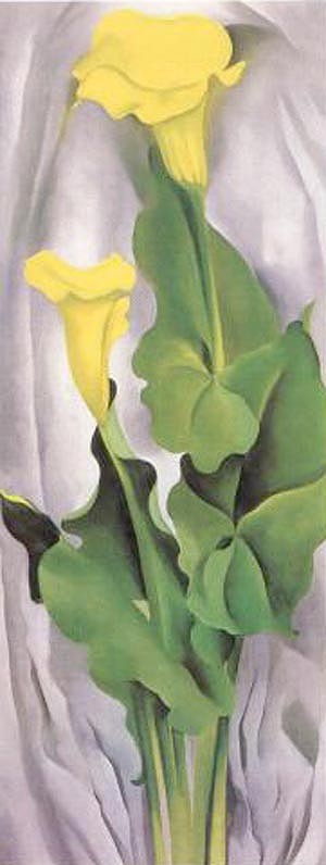 Oil green Painting - Yellow Calla with Green Leaves by O'Keefe