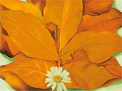Oil o'keefe Painting - Yellow Hickory Leaves with Daisy 1928 by O'Keefe
