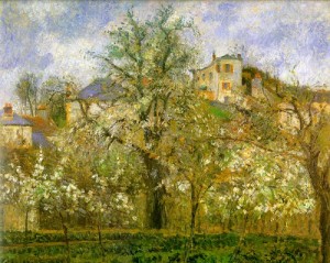 Oil pissarro, camille Painting - Kitchen Garden with Trees in Flower, Pontoise, 1877 by Pissarro, Camille