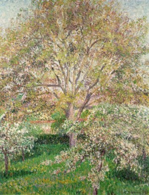 Oil pissarro, camille Painting - The Walnut and Apple Trees in Bloom at Eragny   1895 by Pissarro, Camille